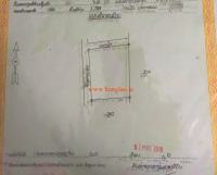 T00306